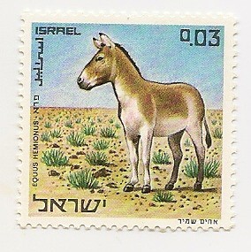  Protección Animal (Equus Hemonus)