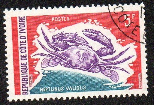 Neptunus Validus