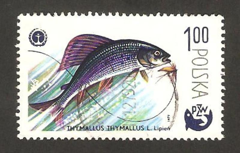 centº de la pesca deportiva en Polonia, thymallus thymallus