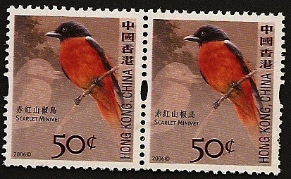 China - Aves - Minivet escarlata