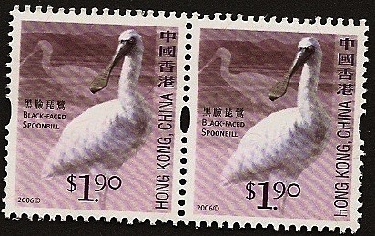 China - Aves - Espátula de cara negra