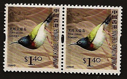 China -  Aves  Sunbird - Suimanga de cola horquillada