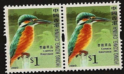 China - Aves - Kingfisher común (Martín pescador)