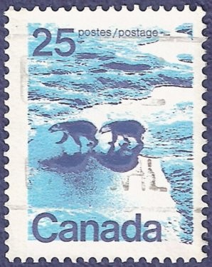 CANADÁ Osos polares 25