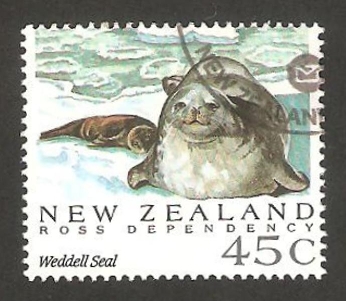 dependencia de ross, foca de weddell