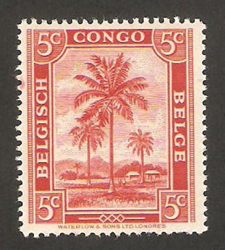 congo belga, arboles y montañas