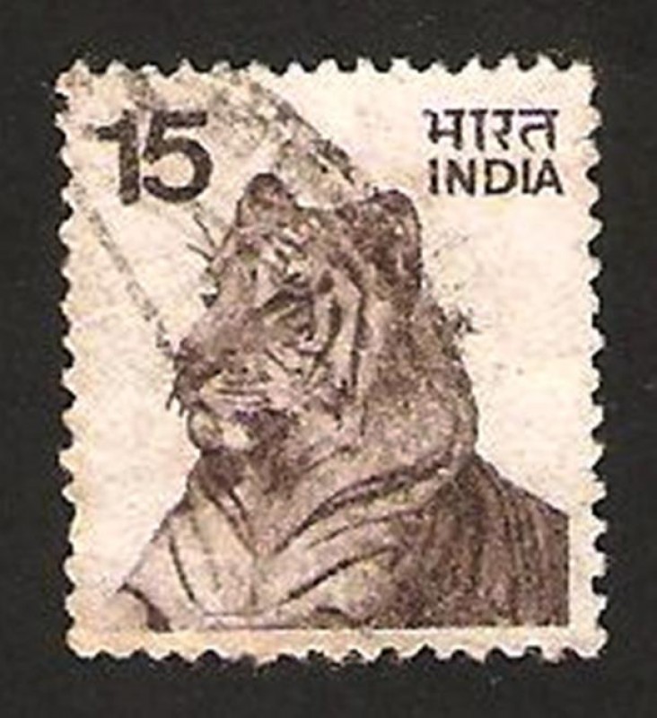 444 - un tigre