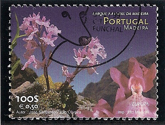 Parque Natural de laurisilva,Madeira
