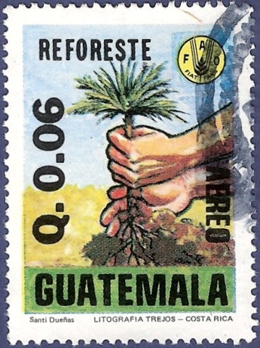 GUATEMALA Reforeste FAO 0.06 aéreo