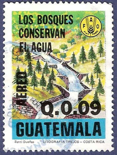 GUATEMALA Bosques 0.09 aéreo (2)
