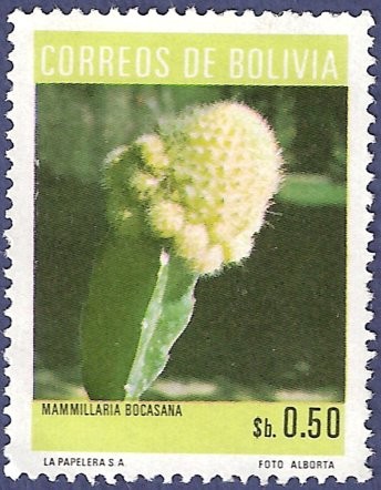 BOLIVIA Mammillaria bocasan 0.50