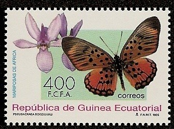 Mariposas de Africa - Pseudacraea