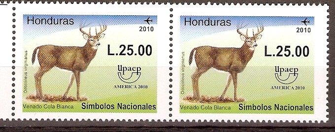 VENADO  COLA  BLANCA