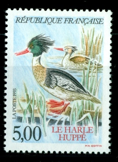 Harle Huppé