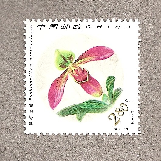 Orquideas chinas