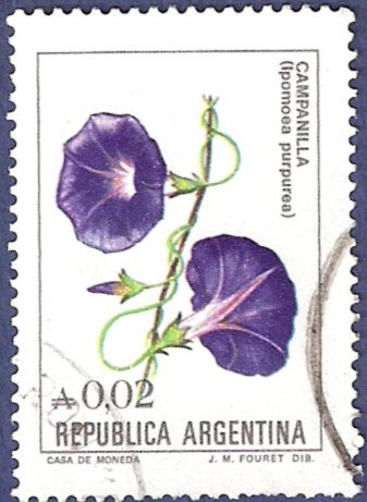 ARG Campanilla A0,02