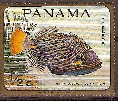 PECES  TROPICALES