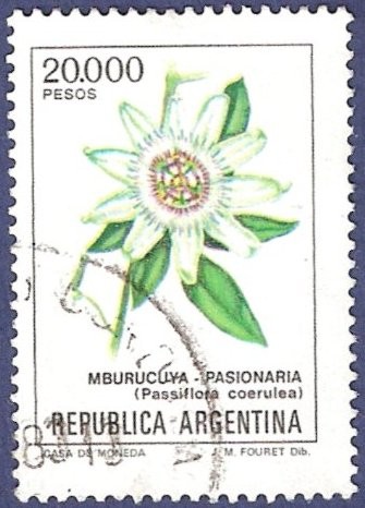 ARG Mburucuya pasionaria 20000