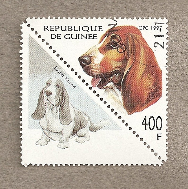 Perro Basset