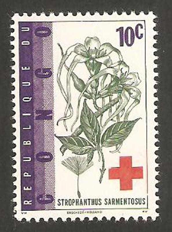 flora, strophanthus sarmentosus