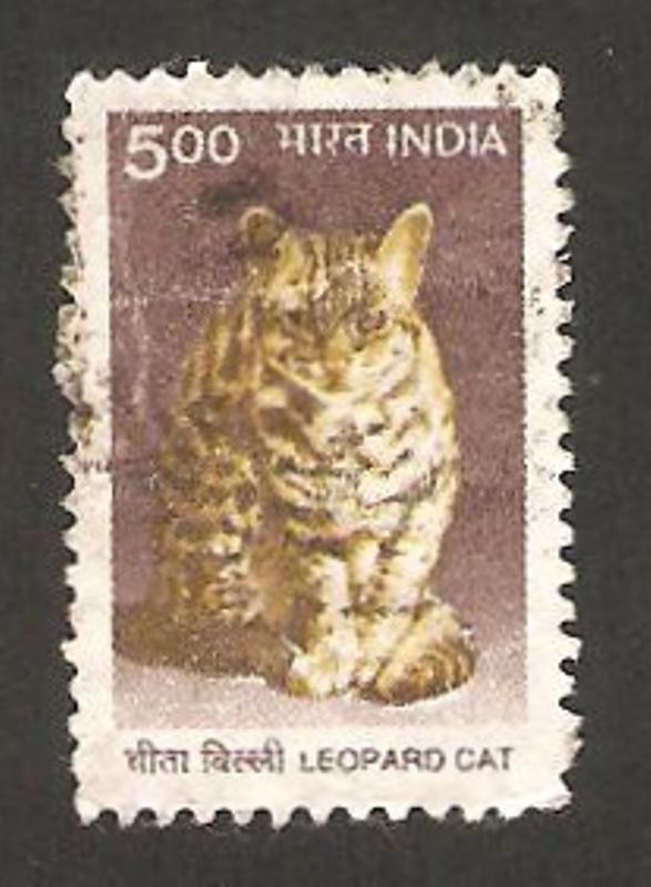 1525 - leopardo gato