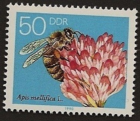 Abeja