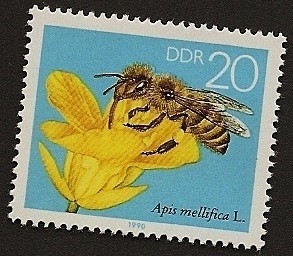 Abeja