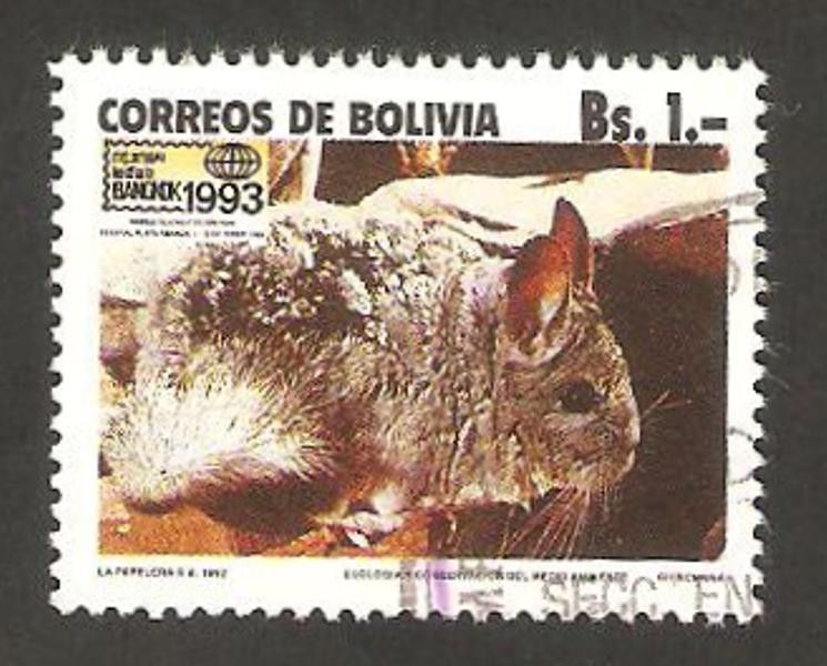 conservación del medio ambiente, fauna