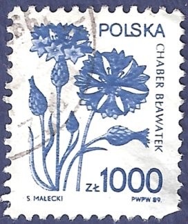 POLONIA Flor azul 1000