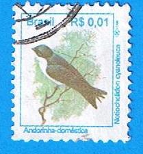 Andarinha domestica