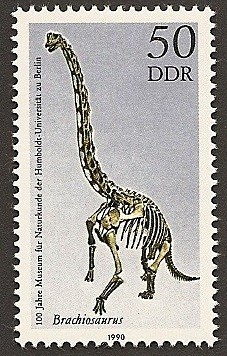 Brachiosaurus - Museo historia natural Universidad Humboldt - Berlín