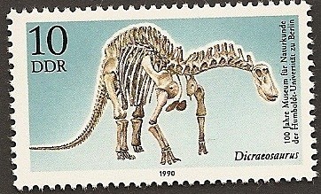 Dicraeosaurus - Museo historia natural Universidad Humboldt - Berlín