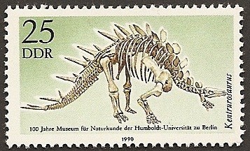 Kentrosaurus - Museo historia natural Universidad Humboldt - Berlín