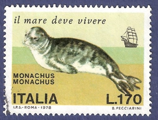ITA Monachus 170