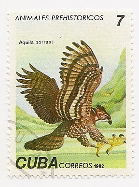 Aguila borrasi