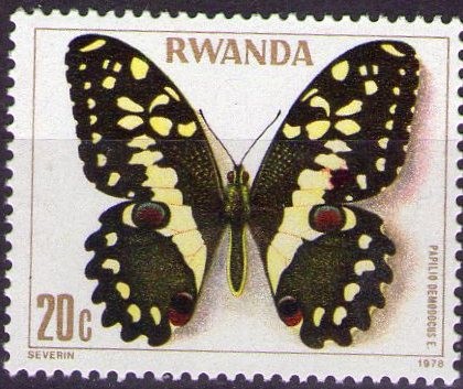 Papilo demodocus