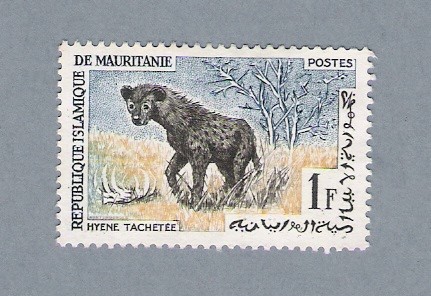 Hyene Tachetee
