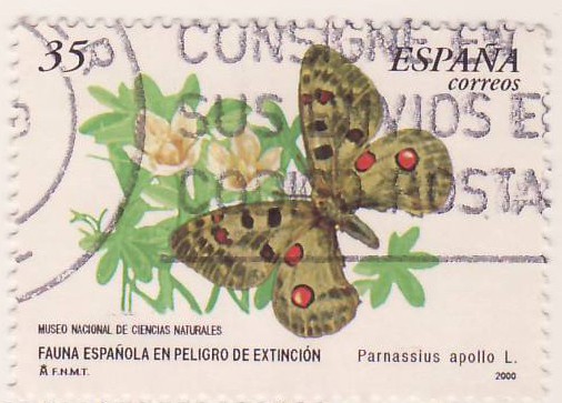 Fauna en peligro de extinción. Parnasius apollo L.