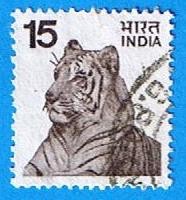 Tigre