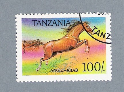 Anglo-Arab