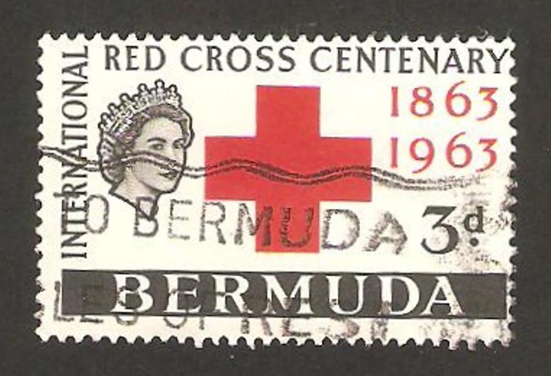 centº de la cruz roja internacional