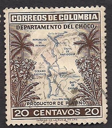 PLANTAS TROPICALES Y MAPA DE CHOCO.