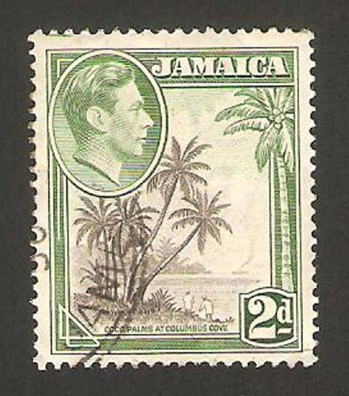 george VI, cocoteros de la bahia de colomb