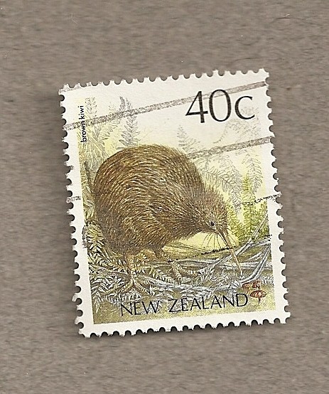 Kiwi marrón