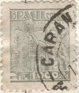 pi BRASIL antorcha gris 1000r