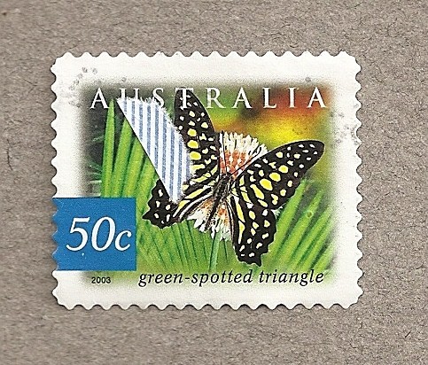 Mariposa moteada en triangulo verde