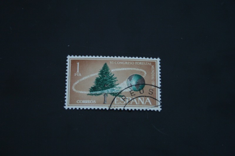 VI congreso forestal mundial·1966