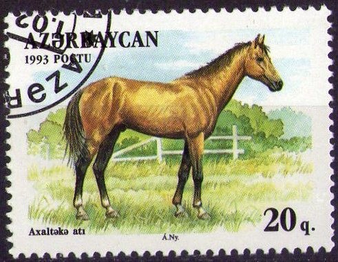 Caballo