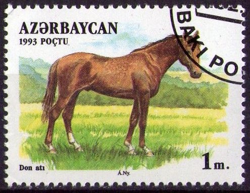 Caballo