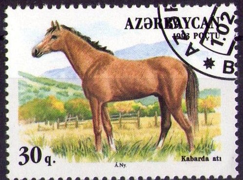 Caballo